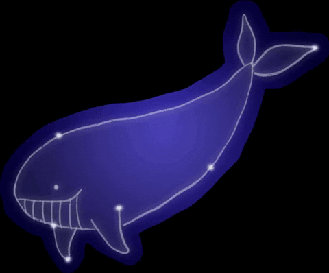 LadyLora giphygifmaker whale lt constellation GIF