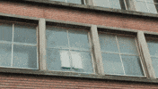 Fun Comedy GIF by DeAPlaneta
