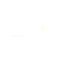 FireboyDml music nigeria Naija fireboy GIF