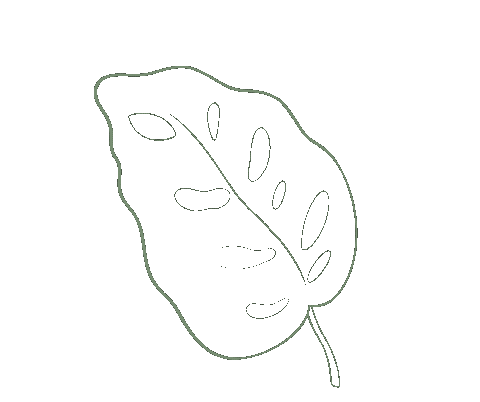 Plant Leaf Sticker