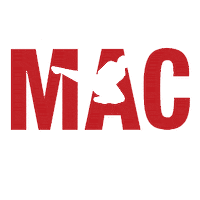 Taekwondo Onlineclass Sticker by Artes marciales MAC