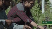 viceland GIF by WEEDIQUETTE