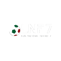 Football Futebol Sticker by minifootballportugal