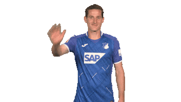 Football Hoffe Sticker by Bundesliga