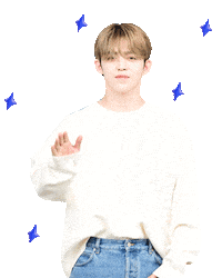 Idol 세븐틴 Sticker by koreadispatch