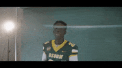 North Dakota State Bison GIF by NDSU Athletics