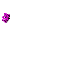 Flor Ilustradora Sticker