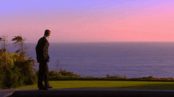 Rose Love GIF by The Bachelor