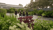 Australia Walking GIF by MasterChefAU