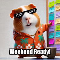 Plans Checklist GIF by Guinea Gambino