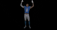 Josh Reynolds Football GIF by Detroit Lions