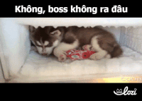 duong-gif27 GIF by Lozi Singapore Co.