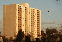 building GIF