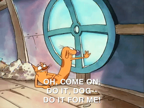 nicksplat GIF