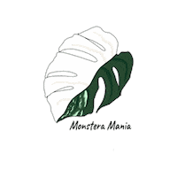 Plant Plantlovers Sticker by Monstera Mania