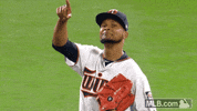 mlb twins fist pump points minnesota twins GIF