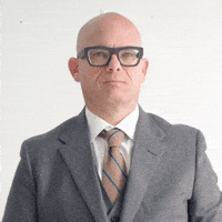 Bird Middle Finger GIF by Smolen.law