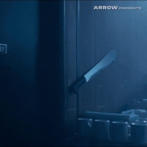 Friday The 13Th Film GIF by Arrow Video