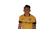 Hand Celebrate Sticker by SG Dynamo Dresden