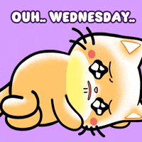 Sad Cry GIF by Mochimons