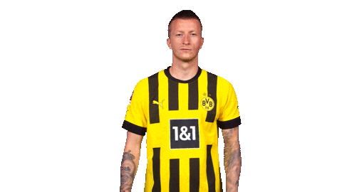 Borussia Dortmund Hello Sticker by Bundesliga