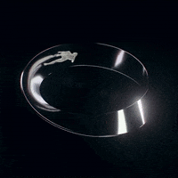 shanef3d art animation loop design GIF