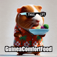 Guinea Pig Trending Topics GIF by Guinea Gambino