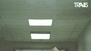Pop Up Reaction GIF by Travis