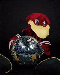 Party Dancing GIF by University of South Carolina