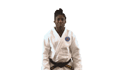 France What Sticker by Paris Saint-Germain Judo