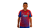 Fcvpesport Sticker by FCVP