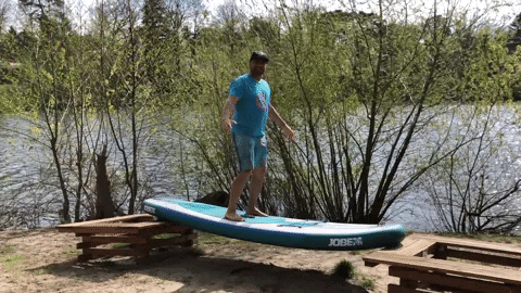 stehpaddler giphygifmaker GIF