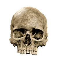 Czech Republic 3D Sticker by Mechanical Whispers