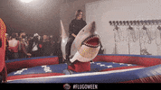 bullettime GIF by Theflug360