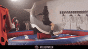 bullettime GIF by Theflug360