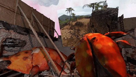 Virtual Reality Brazil GIF by biancakennedy