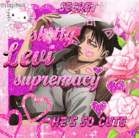 Attack On Titan Levi GIF