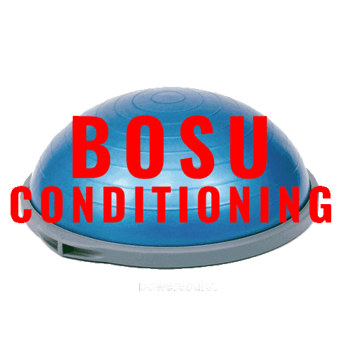 Workout Exercise Sticker by Power Sculpt Fitness