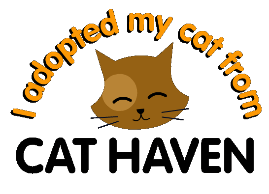 Cats Sticker by Cat Haven WA