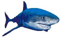 Discovery Channel Design Sticker by Shark Week