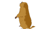 Drama Gopher Sticker by South Park