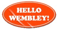 Summertime Ball Singing Sticker by Global