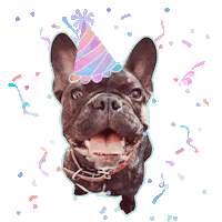 Happy Birthday Party Sticker