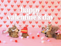 Valentines Day Love GIF by Stephanie