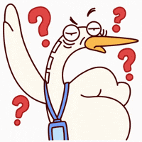 Questioning What GIF