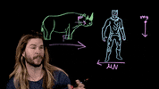 black panther film GIF by Because Science