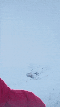 Snow Winter GIF by ALI D (FOREALID)