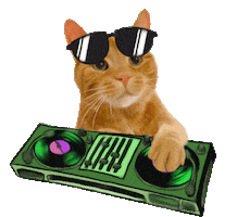 Cool Cat Swag Sticker