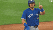 Blue Jays Baseball GIF by Toronto Blue Jays