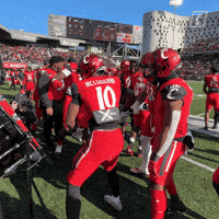 University Of Cincinnati Touchdown GIF by Cincinnati Bearcats